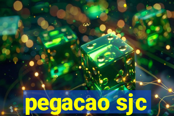 pegacao sjc